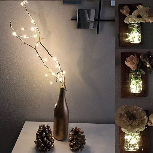 6 Pack Micro LED Fairy Lights, 20 LED on 3.3 ft Copper Wire